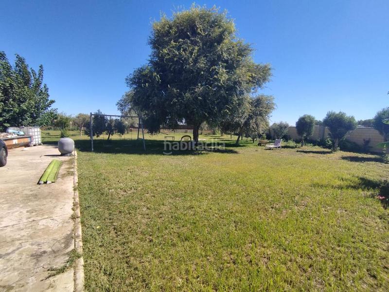 Foto bc6bb183-d351-45fc-ac57-6e8d6d8ad2d6. Finca rústica a Chipiona norte Chipiona