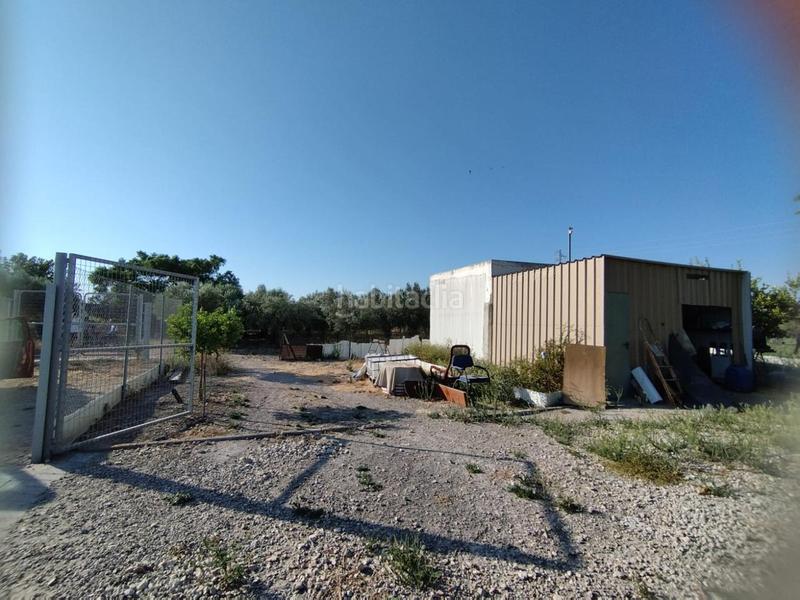 Foto 0c41d43c-9932-45f0-b580-08cb321f7352. Fondo rustico in Ctra Jerez-Ctra del Puerto Sanlúcar de Barrameda