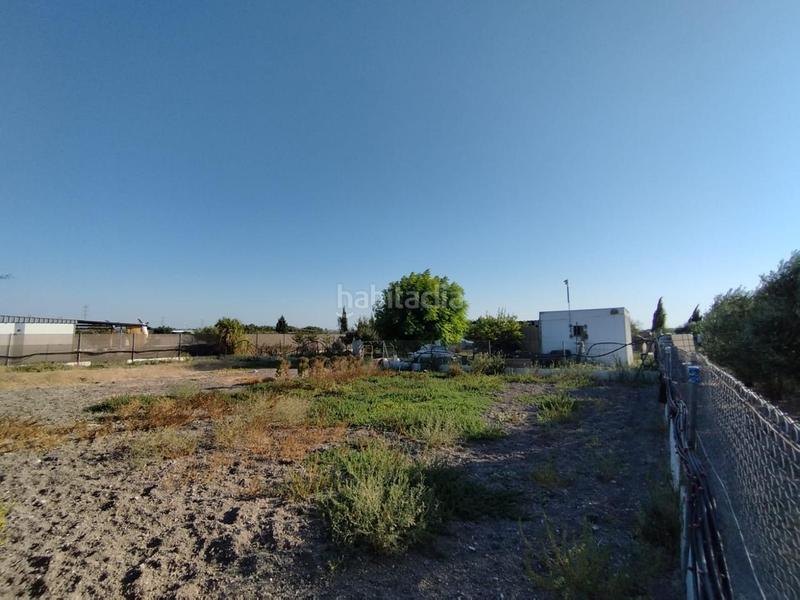 Foto 3bb95494-f8ac-4923-ad48-7d2a69b53684. Fondo rustico in Ctra Jerez-Ctra del Puerto Sanlúcar de Barrameda