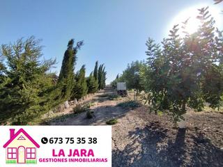 Rural plot  La cañada. Finca de secano en la cañada