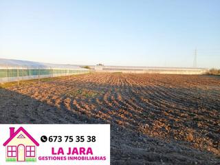 Finca rústica  Cerro colón. Magnifico terreno en chipiona