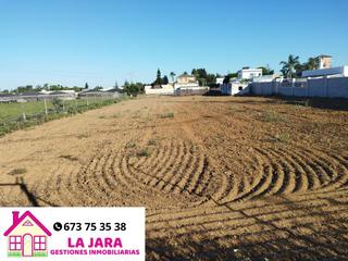 Wohngrundstück  De la jara. Parcela de 2500 m2 con 900 metros de suelo urbano