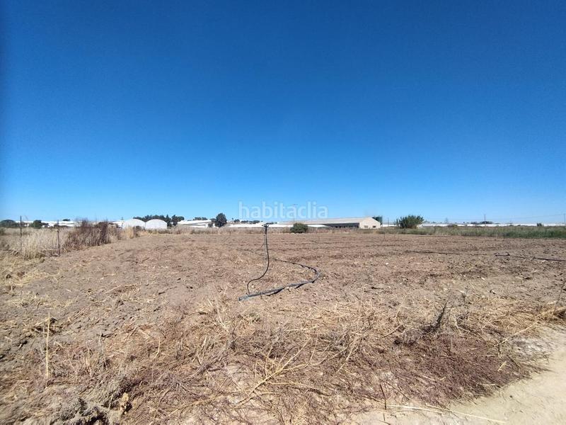 Foto f823d8c8-c2bd-46d9-b023-4d7ba56efd13. Propriété dans Chipiona norte Chipiona