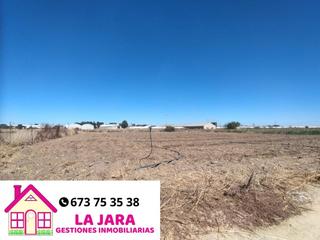 Finca rústica  Los llanos. Parcela de 2500m con escrituras propias