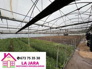 Finca rústica  Chipiona. Terreno con escrituras propias, luz y agua