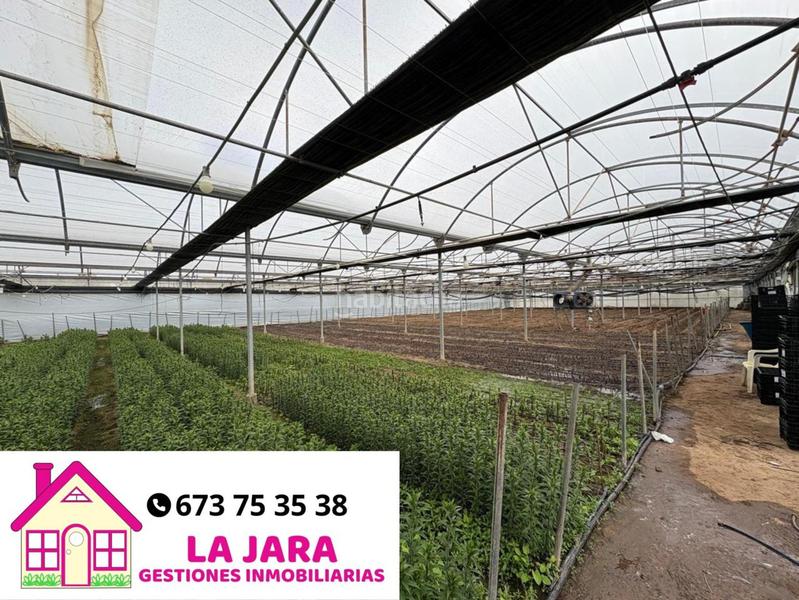 Foto 0d860692-4743-4f83-b4da-db6834533996. Finca rústica a Chipiona norte Chipiona