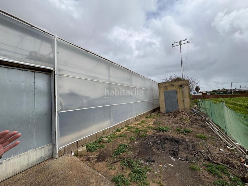 Foto 2b41f10e-7959-4c39-9760-98361dbccc13. Finca rústica a Chipiona norte Chipiona