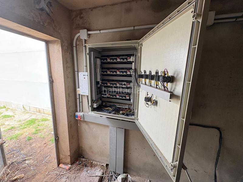 Foto a34ee17b-9b73-4d12-84c0-34120bd891c3. Finca rústica a Chipiona norte Chipiona