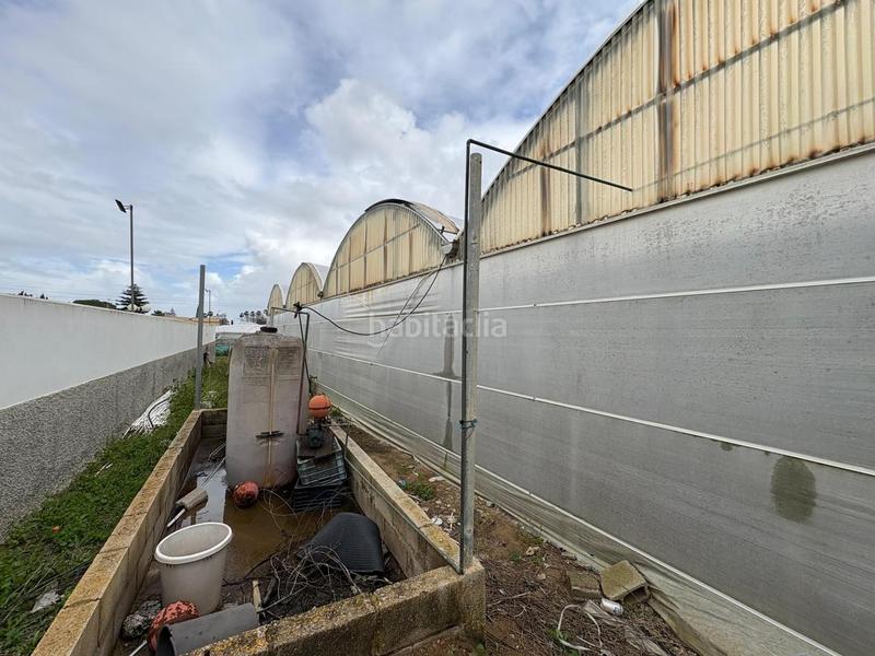 Foto e759f87c-18cd-4441-ae02-7ce39f824014. Finca rústica a Chipiona norte Chipiona