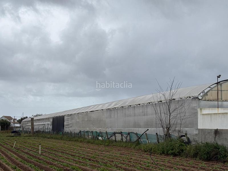 Foto ed8c763d-fcdc-40d8-9894-ea91362a12b8. Finca rústica a Chipiona norte Chipiona