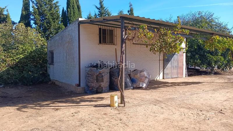 Foto 02fb456a-1b9a-4748-946b-6095938eafc0. Finca rústica a Chipiona norte Chipiona