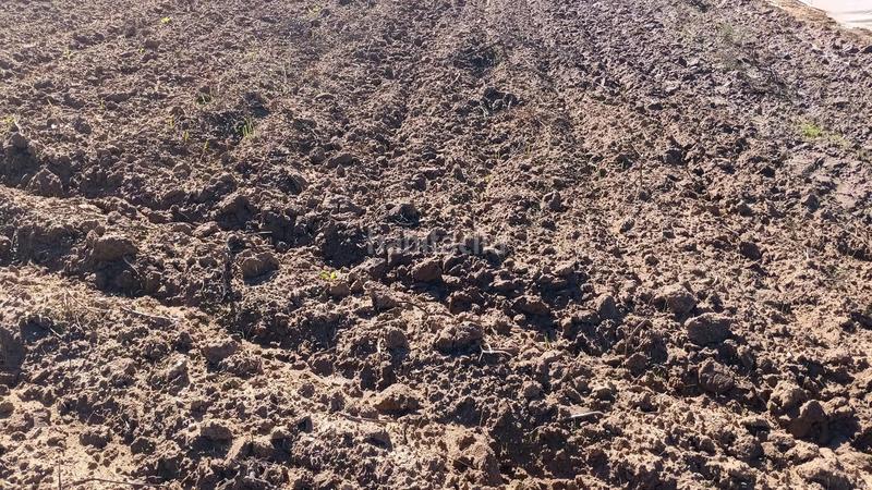 Foto 2555ef07-8098-4698-be44-a4a7f41345ac. Finca rústica a Chipiona norte Chipiona