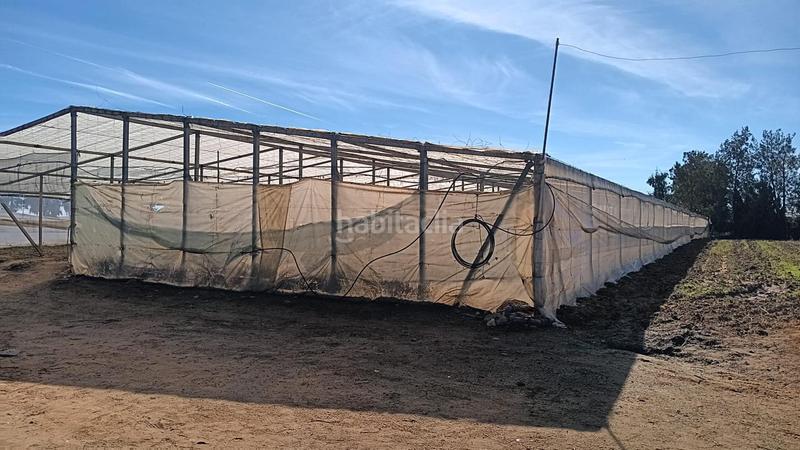 Foto 9c55c6d8-18fe-485b-a183-43f09caca9b6. Finca rústica a Chipiona norte Chipiona