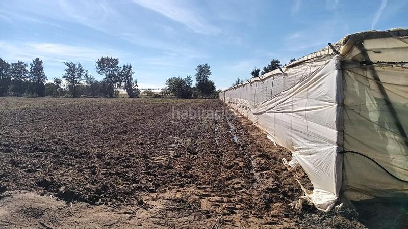 Foto a2138dee-a5b2-4e15-a977-7a9ff82ff47a. Finca rústica a Chipiona norte Chipiona