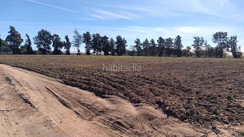 Foto c82e09d4-70a1-418a-b439-28d9105fa5e4. Finca rústica a Chipiona norte Chipiona