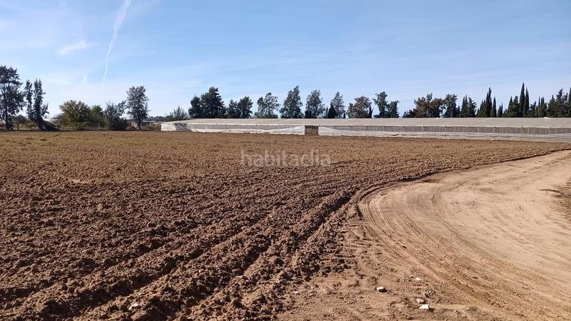 Foto e773c454-a856-4434-8182-1a1b99c77cf6. Finca rústica a Chipiona norte Chipiona