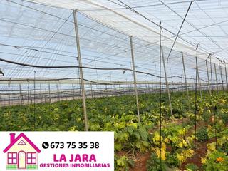 Finca rústica  De rota, munive. Magnífico invernadero en carretera de rota