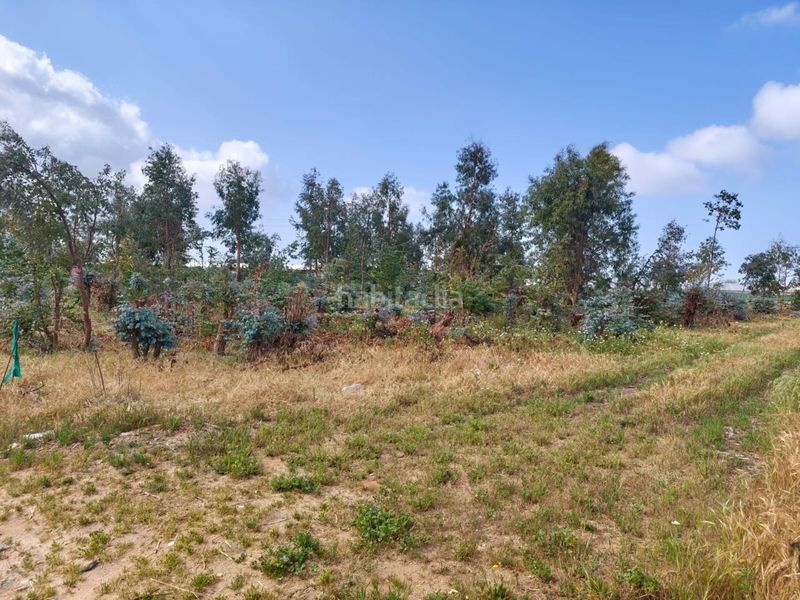 Foto 131d044f-5deb-4d73-9af1-cec55e6e60e8. Terreny residencial a Chipiona norte Chipiona