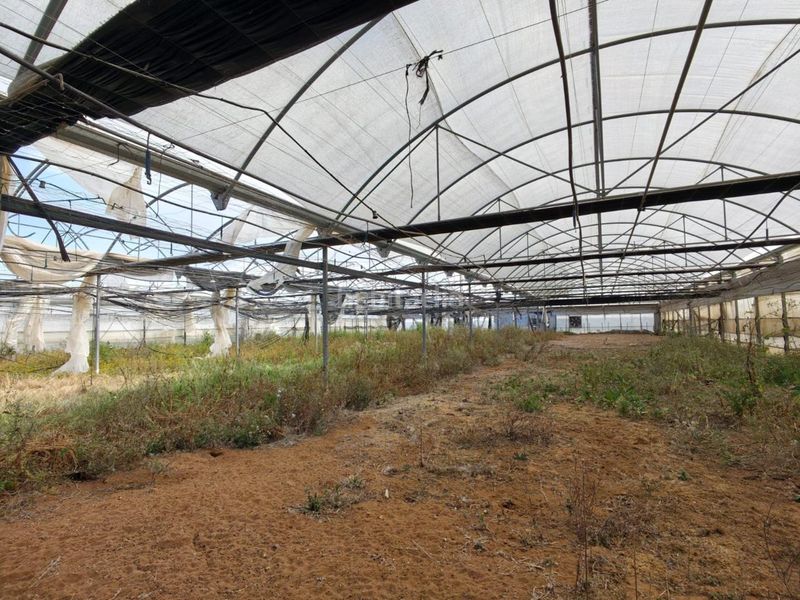 Foto 5f7b9f91-21b7-4242-9d4d-39127dbfd0ff. Terreny residencial a Chipiona norte Chipiona