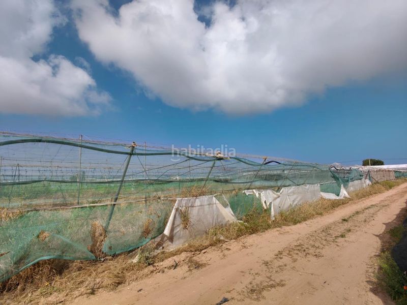 Foto 81b4a044-50a1-49b3-98df-fdf587e0c7f5. Terreny residencial a Chipiona norte Chipiona