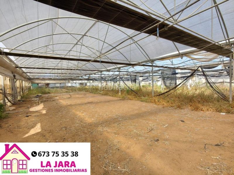 Foto 81f4aa84-a381-47a7-ad62-314fcde03429. Terreny residencial a Chipiona norte Chipiona