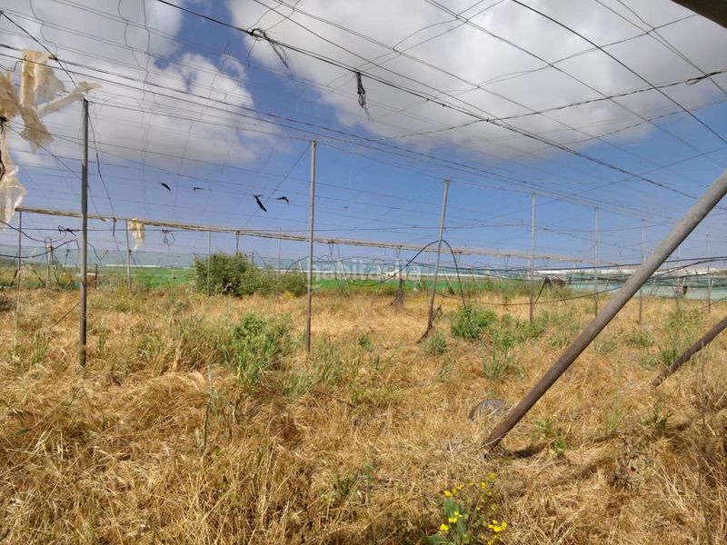 Foto 983666bf-d658-4f97-b734-9693ac83f093. Terreny residencial a Chipiona norte Chipiona