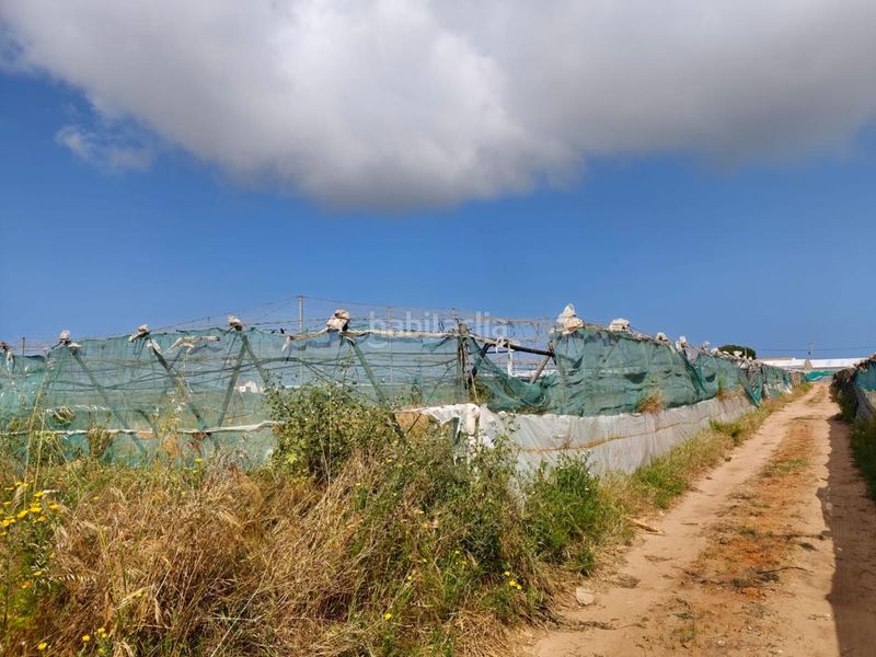 Foto a62d1004-a31e-435e-9f06-b0e4ed5f90e4. Terreny residencial a Chipiona norte Chipiona