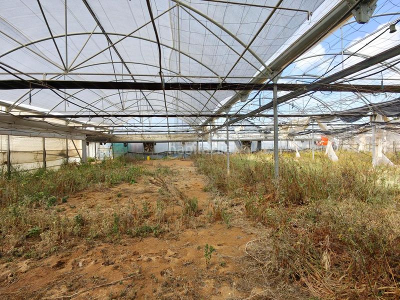 Foto b01f5061-5eaa-4d3b-98da-5ead3b0f3a44. Terreny residencial a Chipiona norte Chipiona