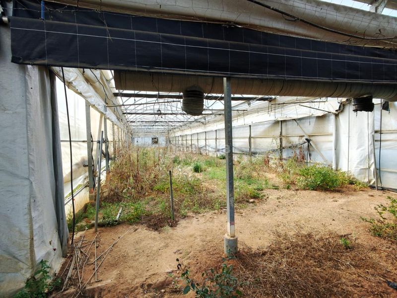 Foto d17d07d2-b228-4359-b522-39d7fd04dc0d. Terreny residencial a Chipiona norte Chipiona