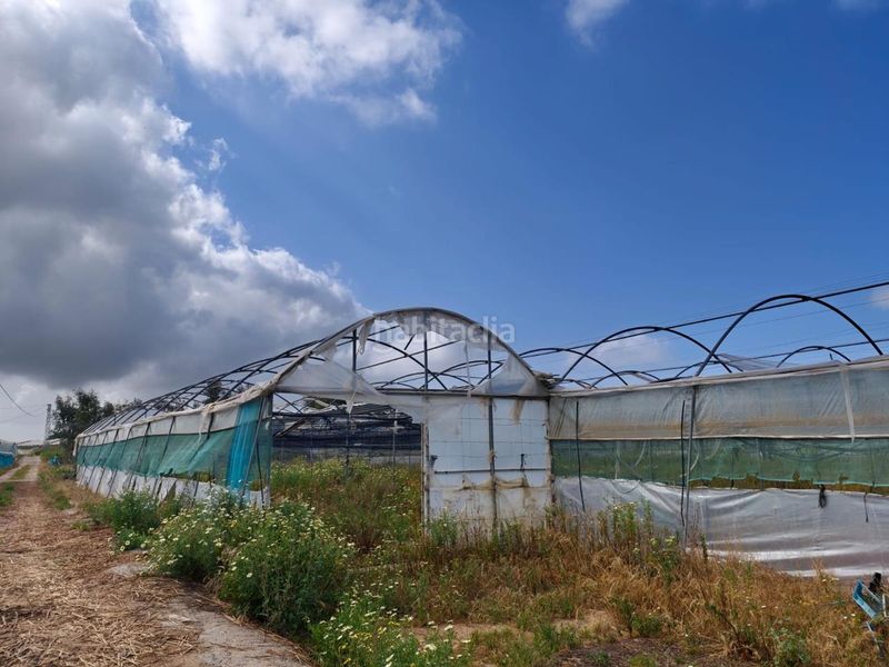 Foto d79901ef-eb28-4600-afbc-5ff441bebcce. Terreny residencial a Chipiona norte Chipiona