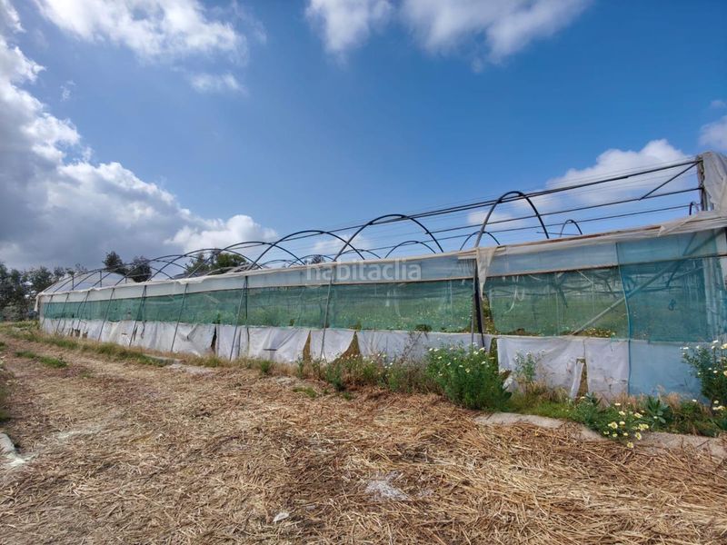 Foto f6081ff8-9ed5-45b2-b0bd-43ea89fb207b. Terreny residencial a Chipiona norte Chipiona