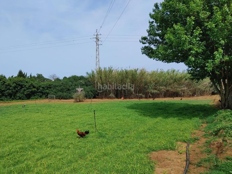 Foto 50c0ba42-c23d-48a5-89c5-5bb4db32f382. Finca rústica a Chipiona norte Chipiona