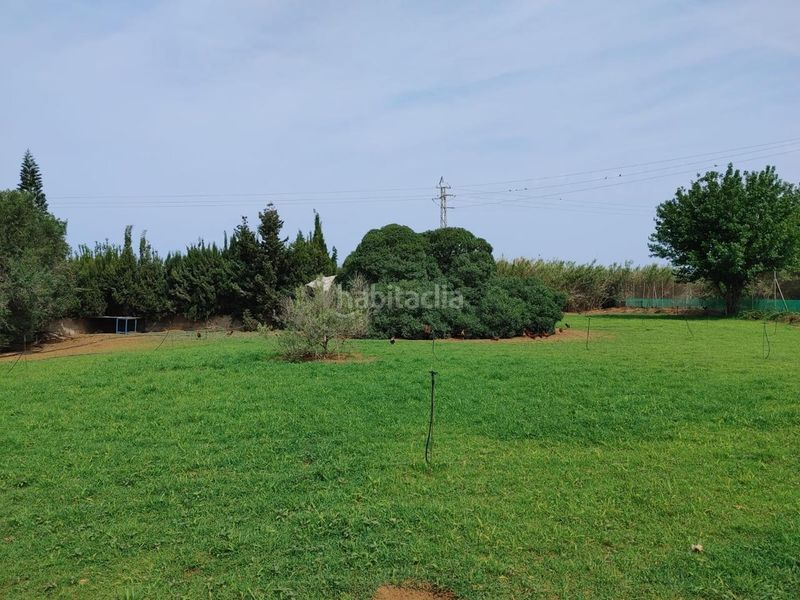 Foto 537c1fa6-a733-4ce4-86f2-0fb6cbcb09a7. Finca rústica a Chipiona norte Chipiona