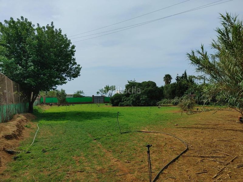 Foto a5edbd2f-37af-43b1-ac4e-886eb4d31286. Finca rústica a Chipiona norte Chipiona