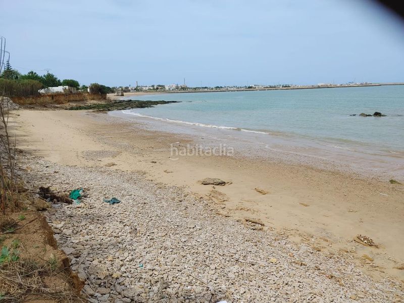 Foto b402eb04-1935-475d-b6db-7d9a099c04b6. Finca rústica a Chipiona norte Chipiona