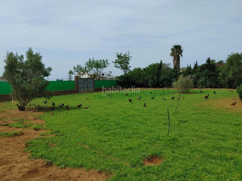 Foto e027682a-7917-48d3-84a8-e858174c8d07. Finca rústica a Chipiona norte Chipiona