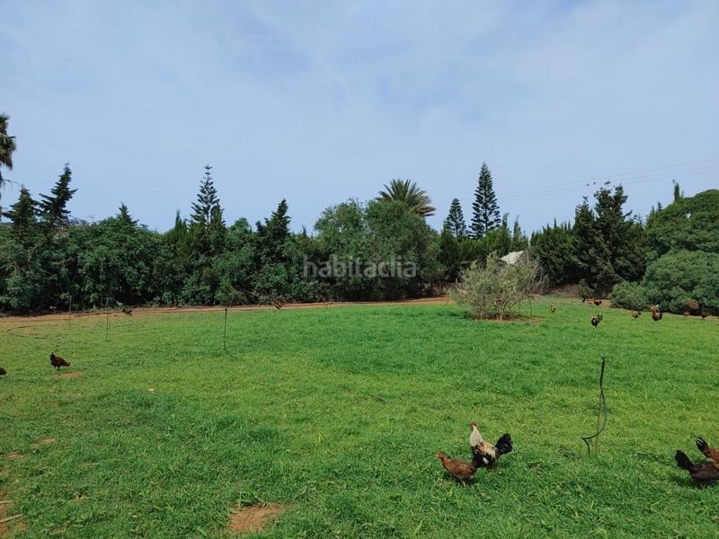 Foto e30d6053-13f6-4640-b183-d23543f9e392. Finca rústica a Chipiona norte Chipiona