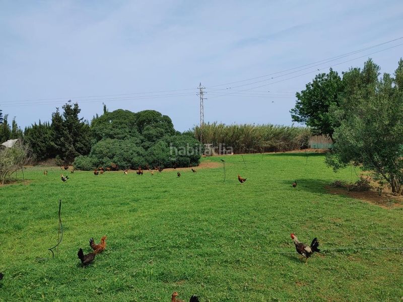 Foto eb37efa6-6d9c-4513-a5dc-159b44ac94f6. Finca rústica a Chipiona norte Chipiona