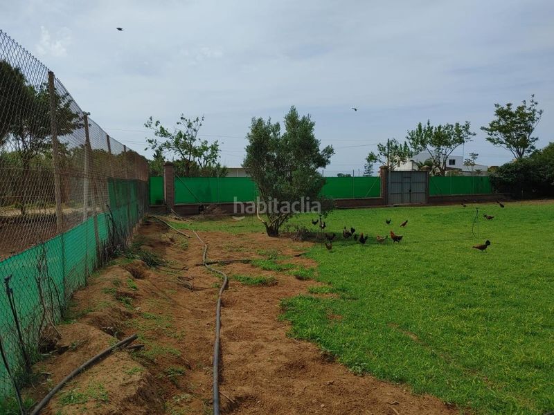 Foto eccf3e0e-ec62-4bc6-8af7-b3416ab19083. Finca rústica a Chipiona norte Chipiona