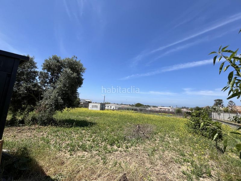Foto eece9a65-2571-448c-be2a-2f7570fef8d0. Finca rústica a Las Palmeras-Dehesilla Sanlúcar de Barrameda