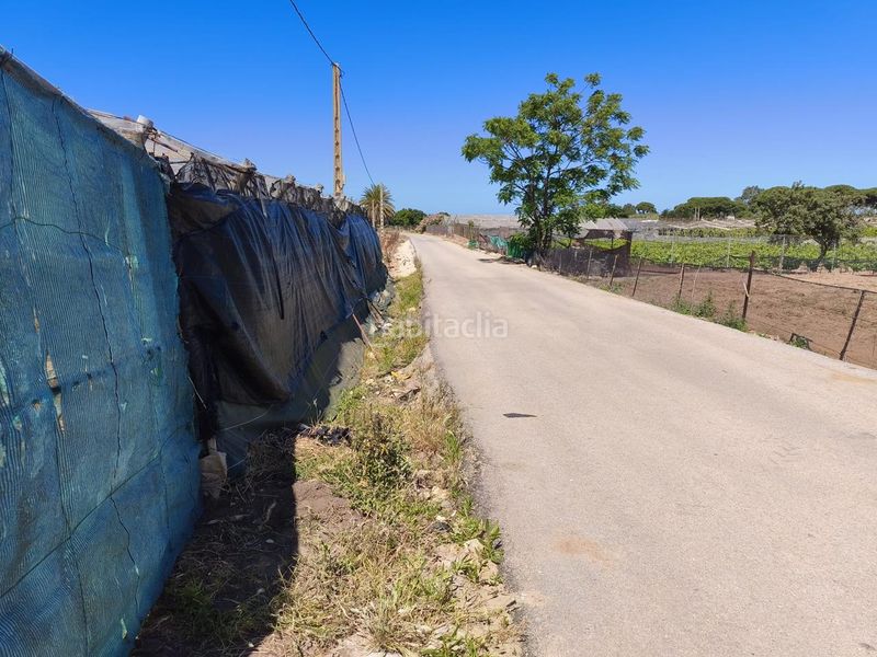 Foto fd359054-2b21-4597-a132-417059ca84f1. Finca rústica a Las Tres Piedras - Costa Ballena Chipiona