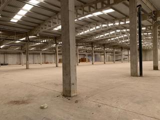 Lloguer Nau industrial a Pedanías Norte. Nave industrial y logistica con gran campa