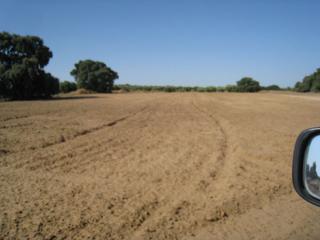 Masia a Marchena. Finca rúst. en venta en marchena.