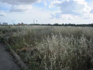 Residential Plot in Luisiana (La). Solar en venta en polígono ind. ppi3.