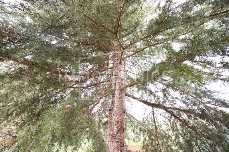 Foto 706e2702-00a7-49bd-b8dd-93504ec04f2c. Casa amb calefacció aparcament piscina a Cànoves i Samalús