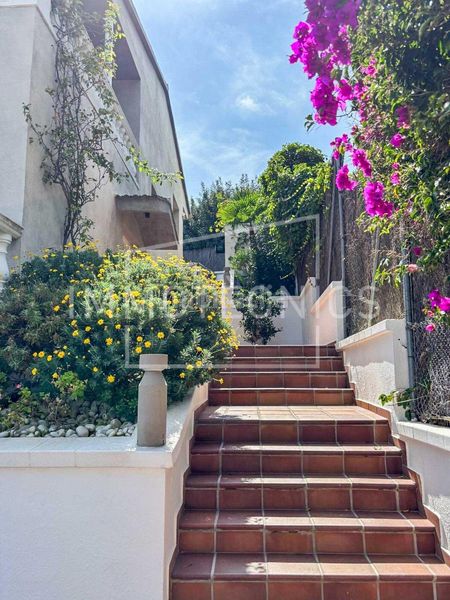 Foto 4001d541-8007-4c4f-822b-06ad2139dbab. Chalet dans calle pl6 parc de Calella. josep gallart 83 dans Calella