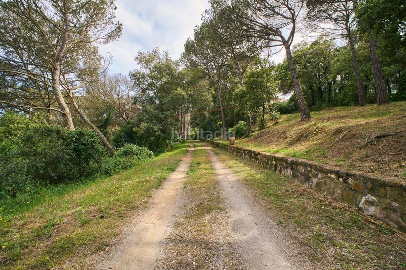 Foto 6c916a36-8f00-40b3-8961-1287b0ae02fc. Masia amb aparcament a Cortes-Huertas Madrid