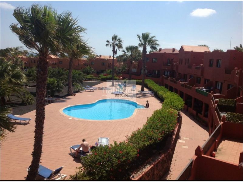 Foto 257bf7dd-6f24-4cfa-92b5-b758a4e08fed. Apartament amb piscina a Corralejo Oliva (La)