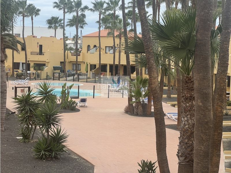 Foto cce0467c-73f2-4f8e-910c-5e0810475dd2. Apartament amb piscina a Corralejo Oliva (La)