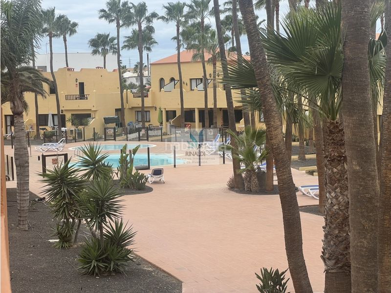 Foto d4aeaf83-78a1-4a9d-8e2d-eead6c2243a5. Apartament amb piscina a Corralejo Oliva (La)